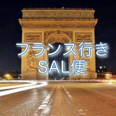 フランス国際小包SAL便復活