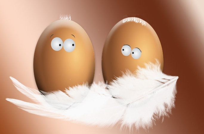 卵、卵の複数形、卵を６個、をフランス語で何という？