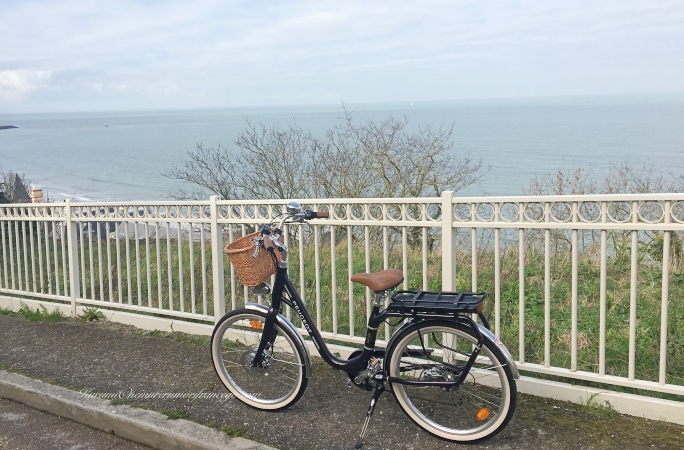 自転車 で 車道 を 走る